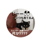 まめ+アル+クリ（個別スタンプ：5）