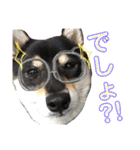 まめ+アル+クリ（個別スタンプ：8）