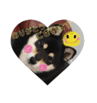 まめ+アル+クリ（個別スタンプ：9）