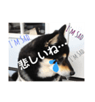 まめ+アル+クリ（個別スタンプ：10）
