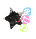 まめ+アル+クリ（個別スタンプ：19）