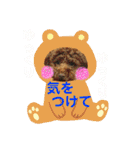 まめ+アル+クリ（個別スタンプ：20）