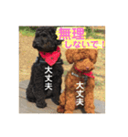 まめ+アル+クリ（個別スタンプ：23）