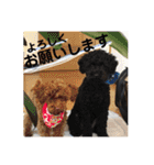 まめ+アル+クリ（個別スタンプ：24）