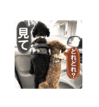まめ+アル+クリ（個別スタンプ：29）