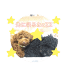 まめ+アル+クリ（個別スタンプ：30）