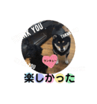 まめ+アル+クリ（個別スタンプ：36）