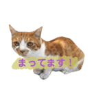 みぃと愉快な仲間たち（個別スタンプ：13）