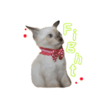みぃと愉快な仲間たち（個別スタンプ：15）
