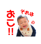 まいにちはるちん（個別スタンプ：24）