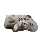 チヤクラ（個別スタンプ：3）