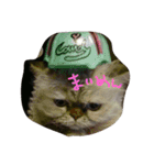 チヤクラ（個別スタンプ：5）