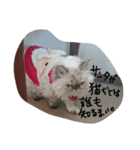 チヤクラ（個別スタンプ：12）