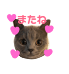 たろすけのことば（個別スタンプ：2）