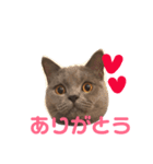 たろすけのことば（個別スタンプ：3）