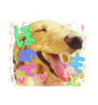 そらくん♡すたんぷ（個別スタンプ：3）