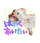 そらくん♡すたんぷ（個別スタンプ：10）