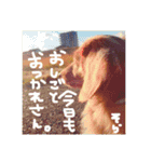 そらくん♡すたんぷ（個別スタンプ：11）