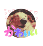 そらくん♡すたんぷ（個別スタンプ：13）