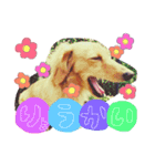 そらくん♡すたんぷ（個別スタンプ：14）