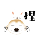 ウサギ帽子の猫ルルルカ柴犬の夏スタンプ（個別スタンプ：31）