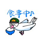 伝書鳩の郵便屋さん（個別スタンプ：16）