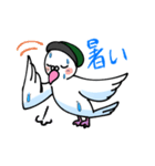 伝書鳩の郵便屋さん（個別スタンプ：30）
