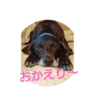 ツイッギーのつぶやき（個別スタンプ：8）