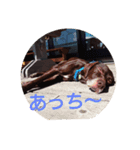 ツイッギーのつぶやき（個別スタンプ：10）