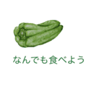 手書き風スタンプ  夏（個別スタンプ：5）