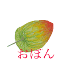 手書き風スタンプ  夏（個別スタンプ：7）