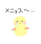 ナマズとヒヨコ（個別スタンプ：3）