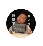 るか専用スタンプ（個別スタンプ：8）