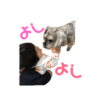 るか専用スタンプ（個別スタンプ：18）