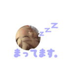 パパ大好き瑛太郎（個別スタンプ：3）