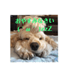 のあぁ その2（個別スタンプ：5）