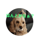 のあぁ その2（個別スタンプ：8）