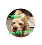 のあぁ その2（個別スタンプ：13）