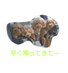 日常会話わんこ（個別スタンプ：6）