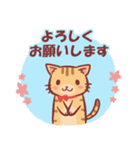 にゃーにゃの敬語スタンプ（個別スタンプ：8）