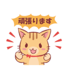 にゃーにゃの敬語スタンプ（個別スタンプ：18）