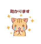 にゃーにゃの敬語スタンプ（個別スタンプ：37）