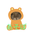 うさぎのナッツ 実写です（個別スタンプ：7）