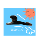 シュナウザー   てんてん（個別スタンプ：14）