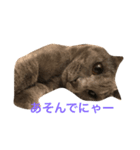ニャーニャースタンプ（個別スタンプ：4）
