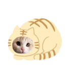 ちゃちやひこ（個別スタンプ：2）