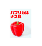 パプリカスタンプ（個別スタンプ：39）