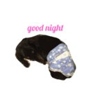 可愛いさ100%ルフィ（個別スタンプ：1）