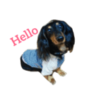 可愛いさ100%ルフィ（個別スタンプ：2）