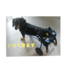 可愛いさ100%ルフィ（個別スタンプ：4）